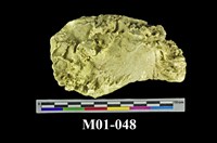 藏品(硫磺)的圖片